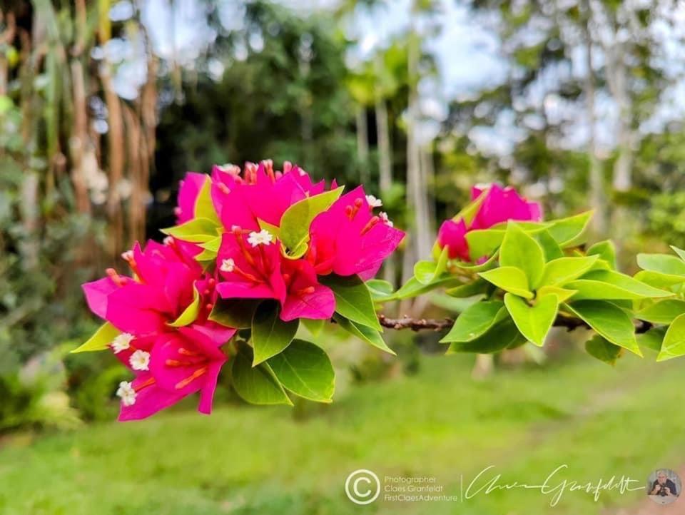 Phurin Thara Resort Ko Lanta Eksteriør bilde